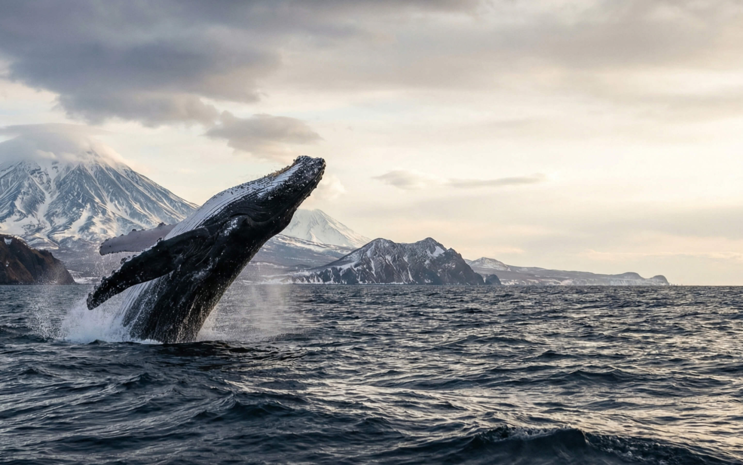 Посмотреть рыбов