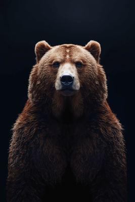 Как вести себя с медведем: советы от главного гида Ивана